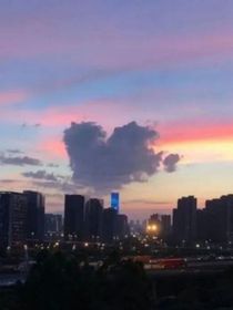 痴情痴爱