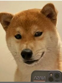 这个家教管太严