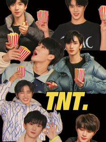 TNT：私爱