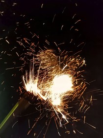 老鶴，戀愛(ài)嗎？