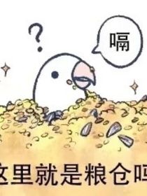綜漫看b站