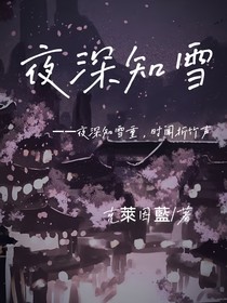 夜深知雪