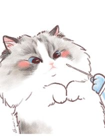 合集好多好多！