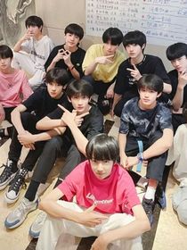 TF三代：公司来了个沙雕妹
