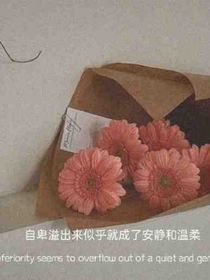 回眸追忆