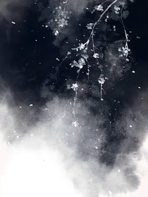 穿越之咸鱼翻身