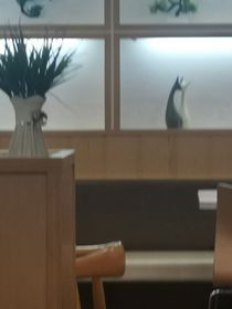 你是我的小橘子