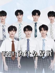 tnt：为什么是我