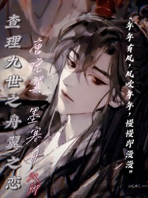 查理九世之舟翼之恋