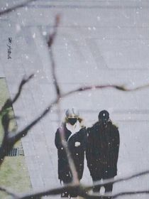 相遇在雪天