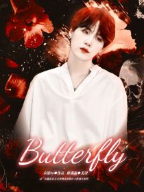 BTS：Butterfly1