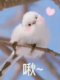 周喃喃