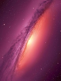 你是我心里最美丽的星星