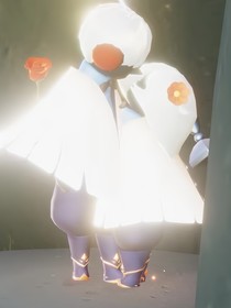 念槿