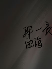 那一夜的海