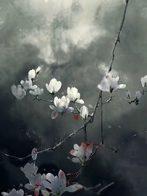 重生之废柴嫡女飒爆了