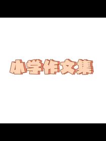 小學(xué)作文集