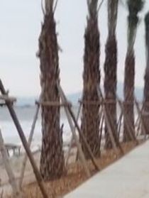 我向往