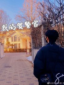 我的贺警官