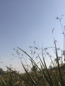 銘偵探郎睿