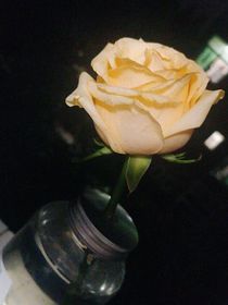 我老婆真帅气