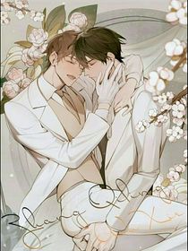 瓶邪：鬼王的吳邪