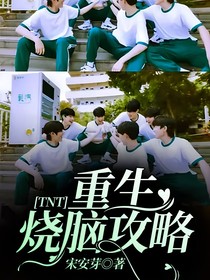 TNT：无解