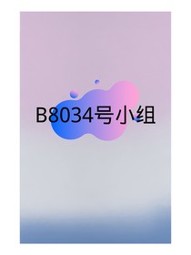 B8034号小组