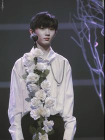 马嘉祺：王爷公主又受伤了