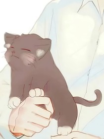 別動我家貓