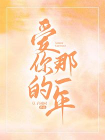 爱你的那一年