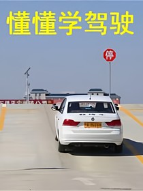 懂懂学驾驶
