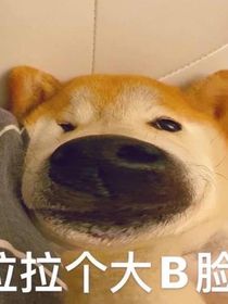蓝猫龙骑团的猫
