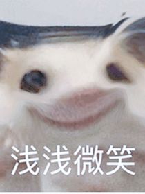 兔子的奇幻之旅