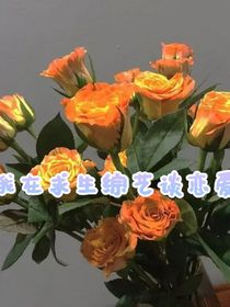 我在求生綜藝談戀愛