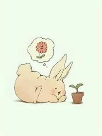 属于她的温柔