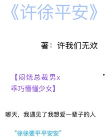 许徐平安