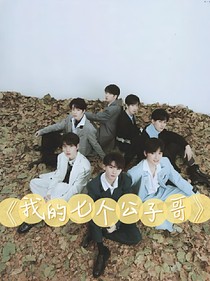 我的七個公子哥