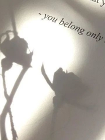版权已售出