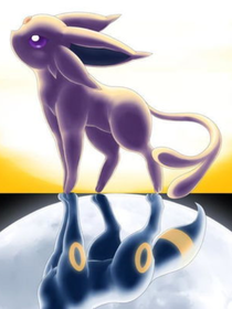 一只叫光布的太阳伊布-d863