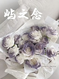 屿之念