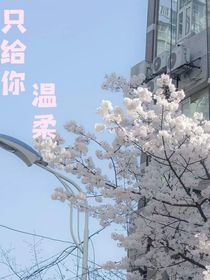 只给你温柔