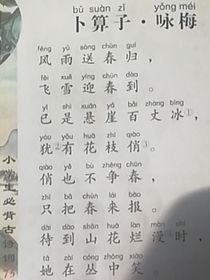 仙圣大陆（暂时停工）