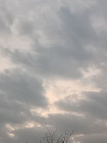 不可挽回的你