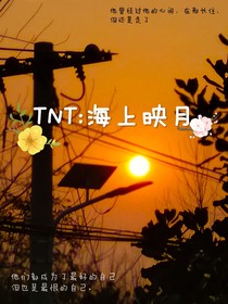 TNT：海上映月