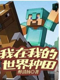 我在我的世界種田