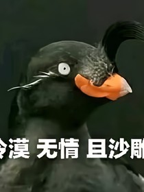 凹凸世界：我不想作死