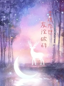 查理九世：友誼破碎