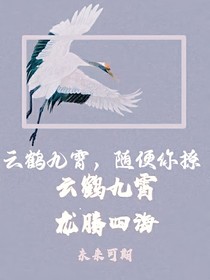 云鶴九霄，隨便你撩