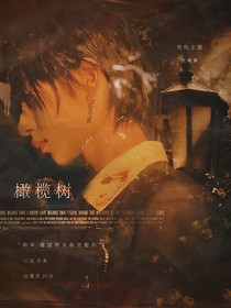 贺峻霖：橄榄树